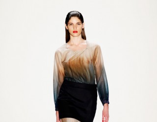 Read more about AW 2013 by Hien Le